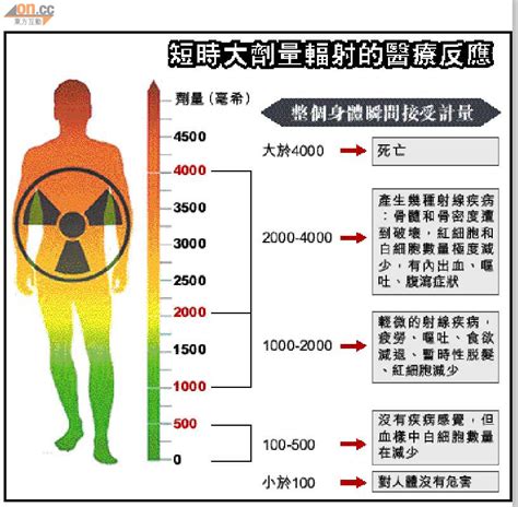 被輻射過的人|輻射如何對人體做成危害？